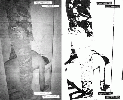 Amaranthine Lament : Cognitive Distortion